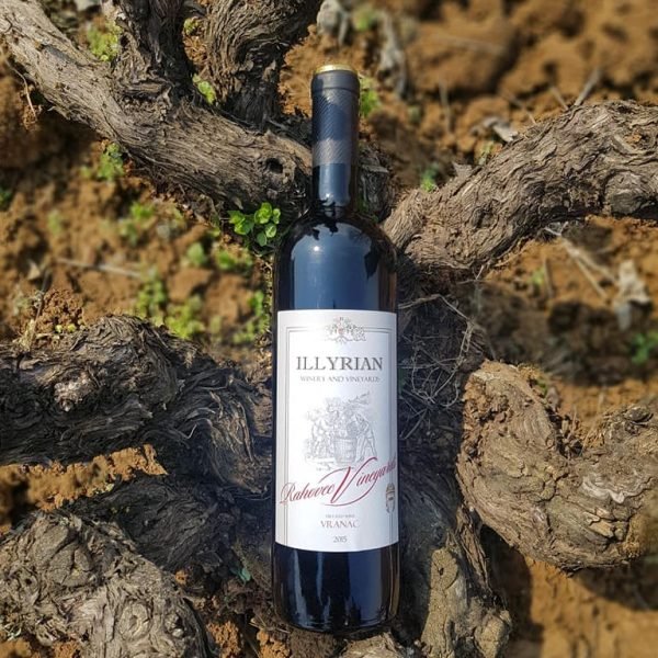 56821243_2332225843687671_1206662948617977856_n