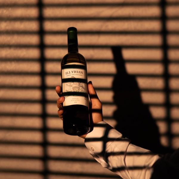 WhatsApp Image 2026-01-20 at 13.56.22 (4)